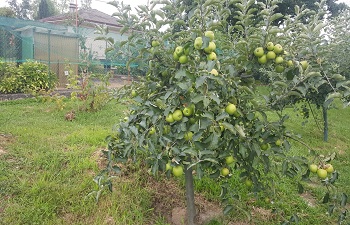 La nostra azienda